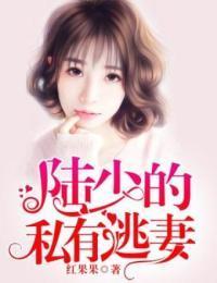 陆少的私有逃妻